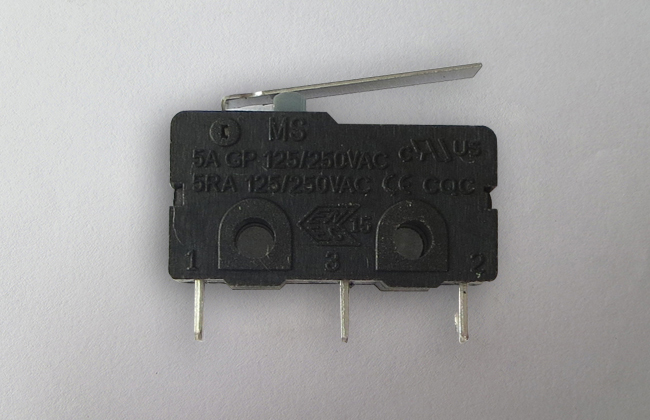SS type micro switch 3